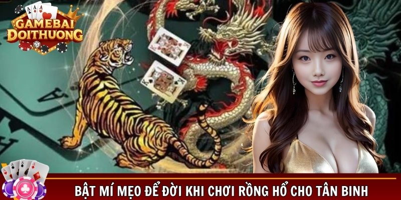Bật mí top mẹo hay chơi Rồng Hổ bao trúng đậm